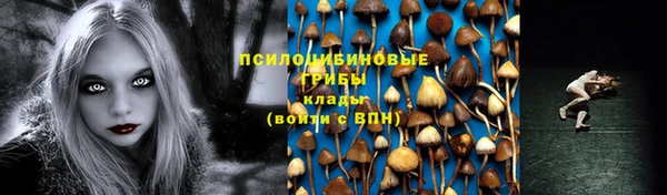 PSILOCYBIN Киреевск