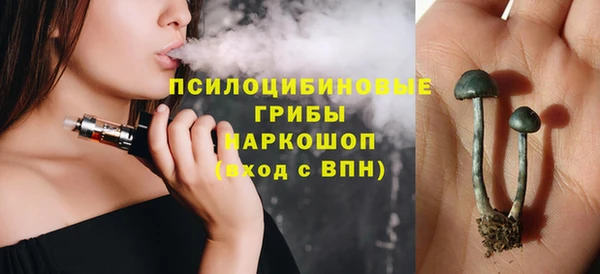 PSILOCYBIN Киреевск