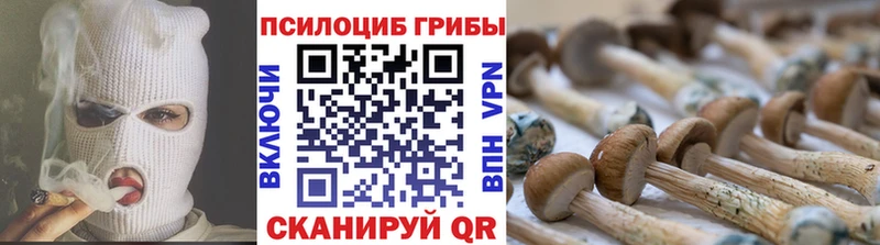 Купить  Бокситогорск  Галлюциногенные грибы мицелий 