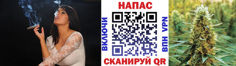 Каннабис сатива  Купить где  Бокситогорск 